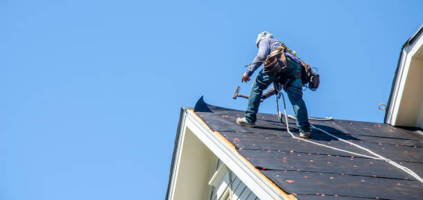Best Roof Gutter Cleaning  in West Fork, AR